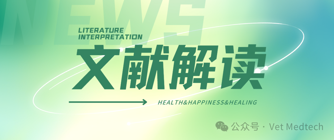 2岁纯血马运动损伤高危因素研究