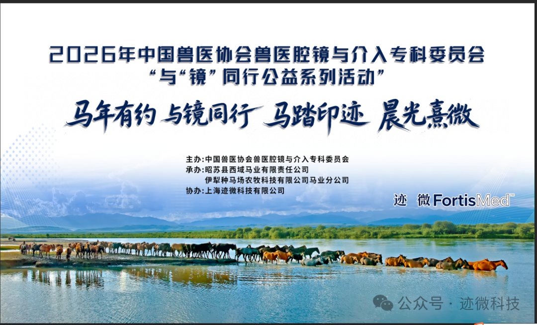 活动合影